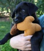 Titan